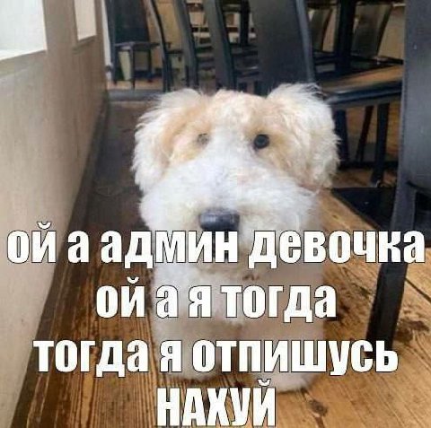 ойаадмин Девочка ойая тогда тогда я отпишусь
