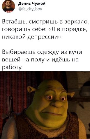 Денис Чужой @fe_city_boy Встаешь, смотришь в зеркало, говоришь себе: «Я в порядке, никакой депрессии» Выбираешь одежду из кучи вещей на полу и идёшь на работу.