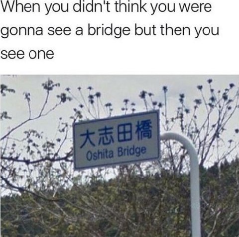 When you think you were gonna see a bridge but then you see one