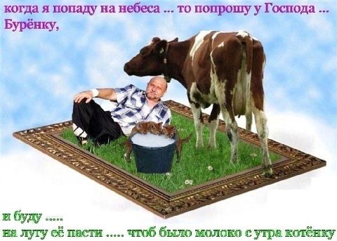 когда я попаду на небеса то попрошу у Господа Буренку, и буду <a на лугу её пасти чтоб было молоко с утра котёнку