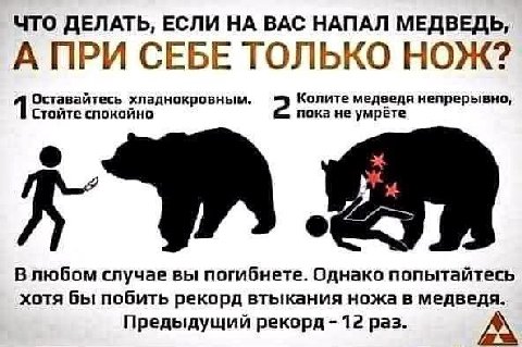 ЧТО ДЕЛАТЬ, ЕСЛИ НА ВАС НАПАЛ МЕДВЕДЬ, А ПРИ СЕБЕ ТОЛЬКО НОЖ? 1 Оставайтесь 2 Колите медведя непрерывно, Стойте спокойно пока не умрете В любом случае вы погибнете. Однако попытайтесь хотя бы побить р