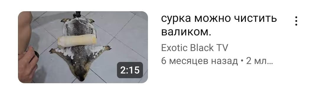 сурка можно чистить валиком. Exotic Black 6 месяцев назад 2