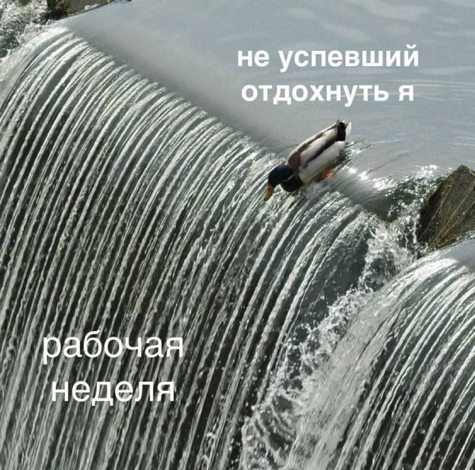 if не успевший отдохнуть я я рабочая a неделя