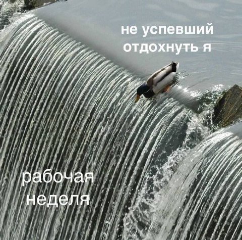if не успевший отдохнуть я я рабочая a неделя