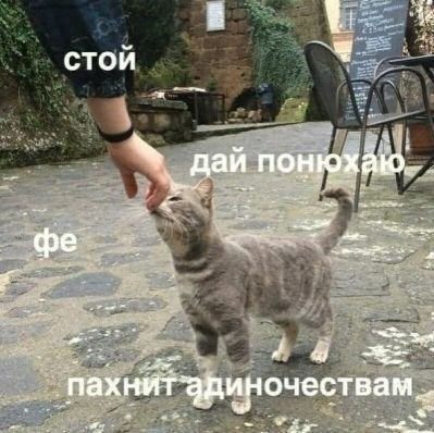 даи понюхаю