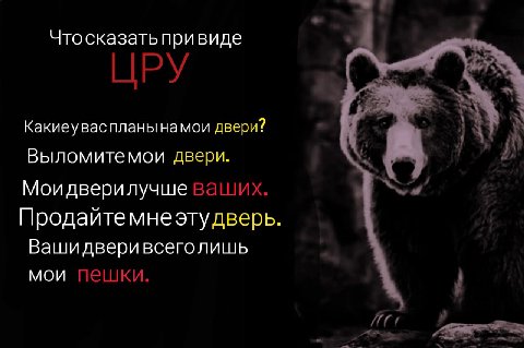 Что сказать привиде ЦРУ 7 Какиеуваспланынамои двери? Выломитемои двери. Моидверилучше ваших. Продайтемнеэтудверь. Вашидверивсеголишь мои пешки.