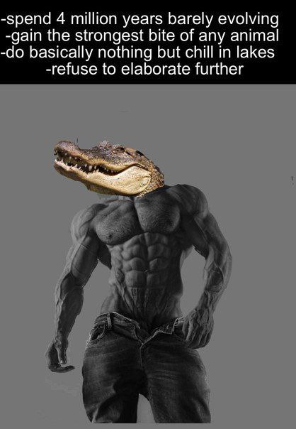 -spend 4 million years barely evolving -gain the strongest bite of any animal basically nothing but chill in lakes -refuse to elaborate further