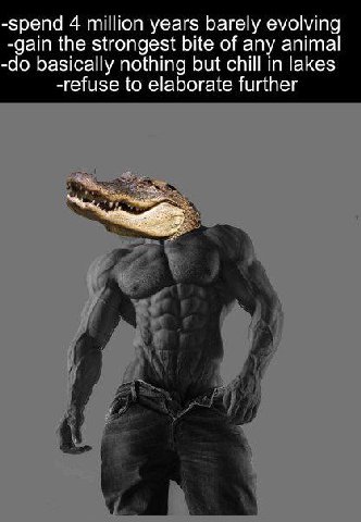 -spend 4 million years barely evolving -gain the strongest bite of any animal basically nothing but chill in lakes -refuse to elaborate further