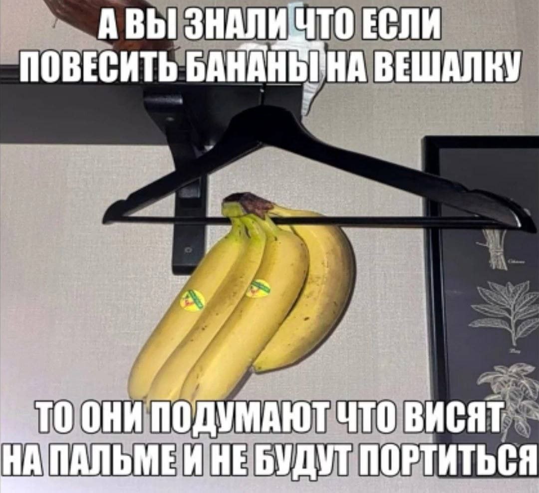АВЫ ЕСЛИ ПОВЕСИТЬ ВЕШАЛКУ OHH ПОДУМАЮТ ЧТО ВИСЯТ НЕБУДУТ ПОРТИТЬСЯ