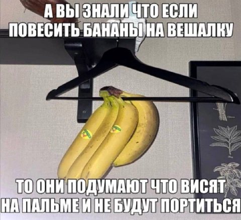 АВЫ ЕСЛИ ПОВЕСИТЬ ВЕШАЛКУ OHH ПОДУМАЮТ ЧТО ВИСЯТ НЕБУДУТ ПОРТИТЬСЯ
