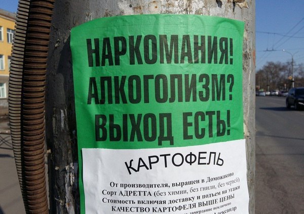 4, к 4 i if В у i if РТОФЕЛЬ Дом‘ От производителя, Сорт АДРЕТТА (без химии Стоимость включая if КАЧЕСТВО КАРТОФЕЛЯ