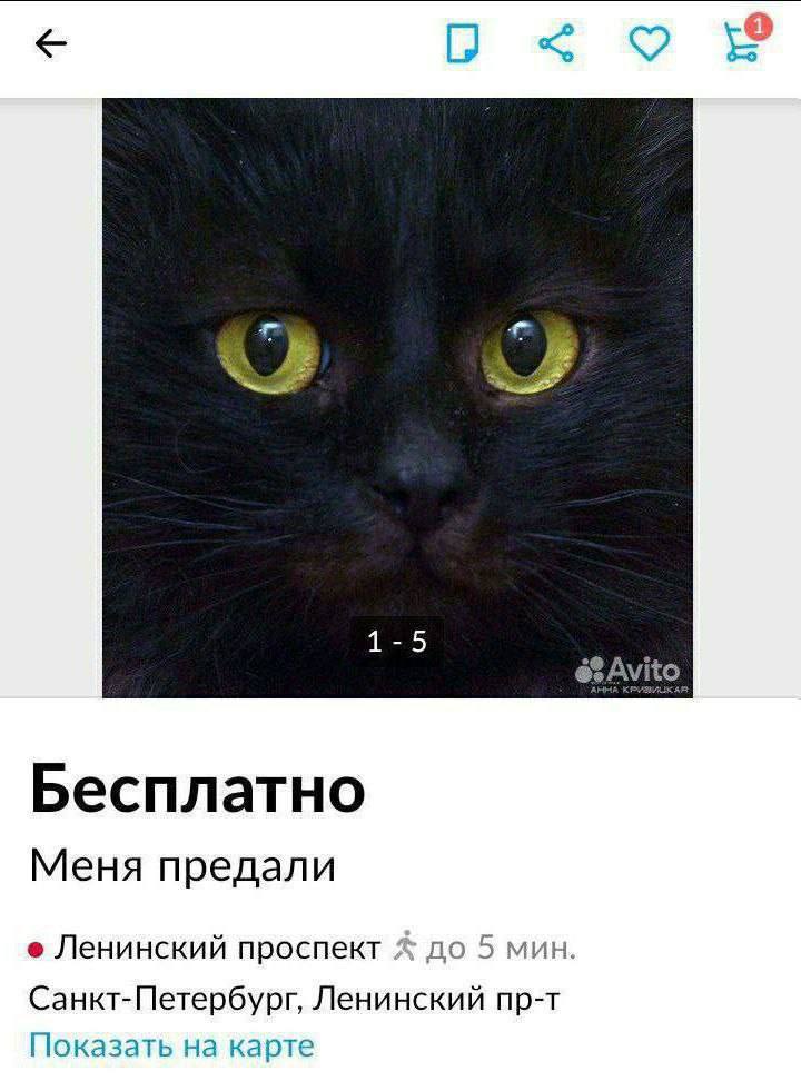 1-5 Бесплатно Меня предали Ленинский проспект до 5 мин. Санкт-Петербург, Ленинский пр-т Показать на карте