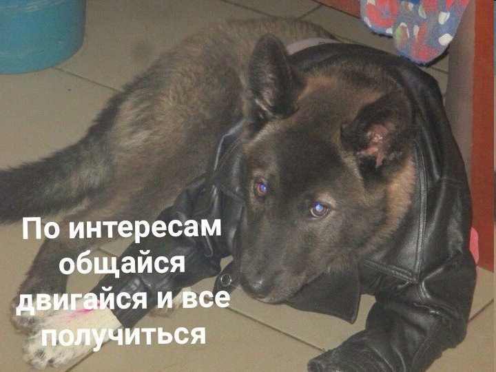 По интересам общайся двигайся и все