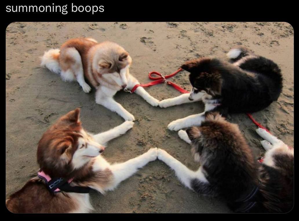 summoning boops