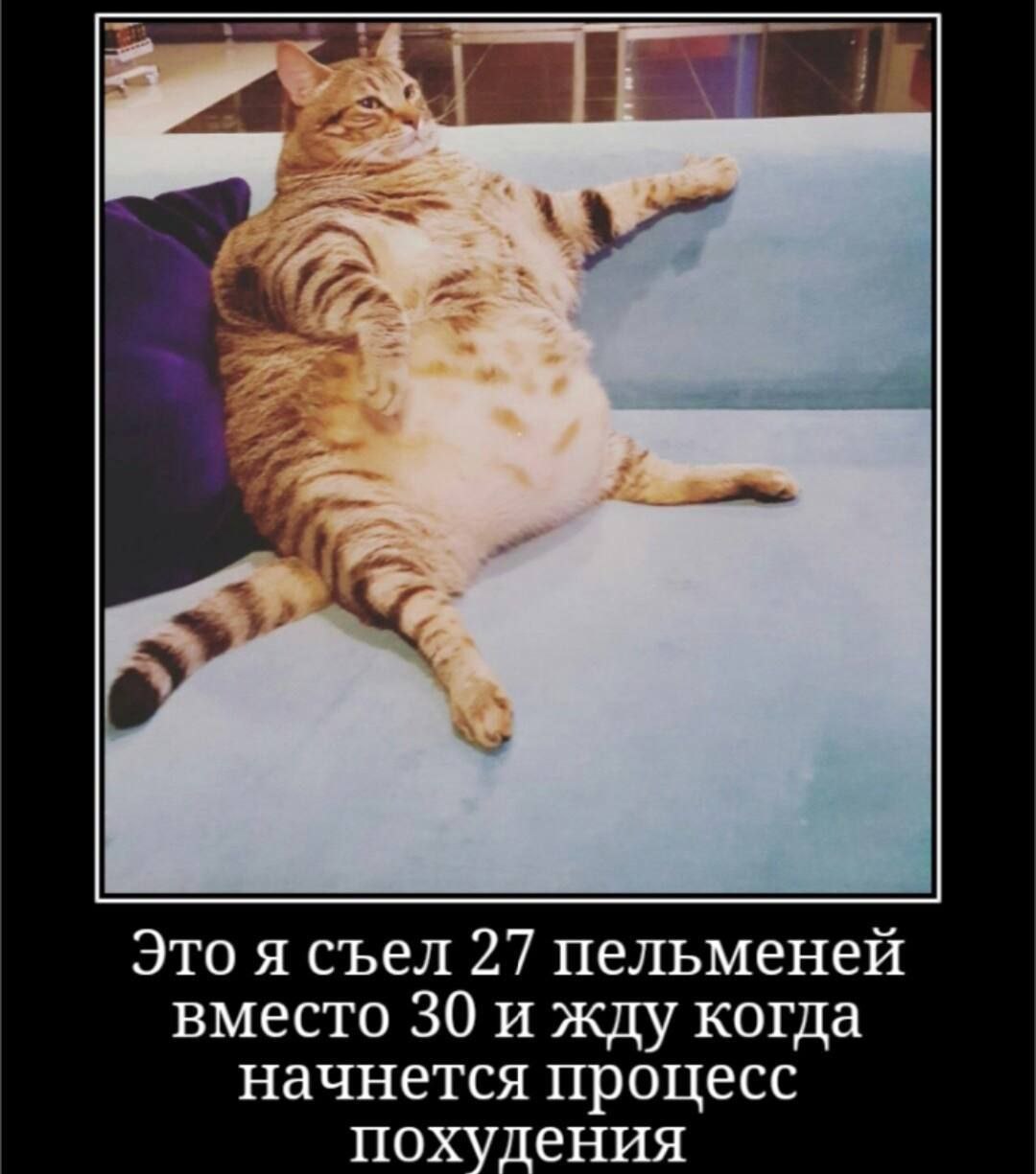 Это я съел 27 пельменей вместо 30 и жду когда начнется процесс похудения