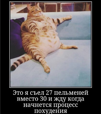 Это я съел 27 пельменей вместо 30 и жду когда начнется процесс похудения