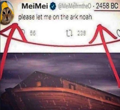 Меме! 2458 please let me on the ark noah A 238