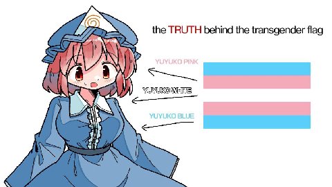IN the TRUTH behind the transgender flag А AN YUYUKO YUYUKO BLUE