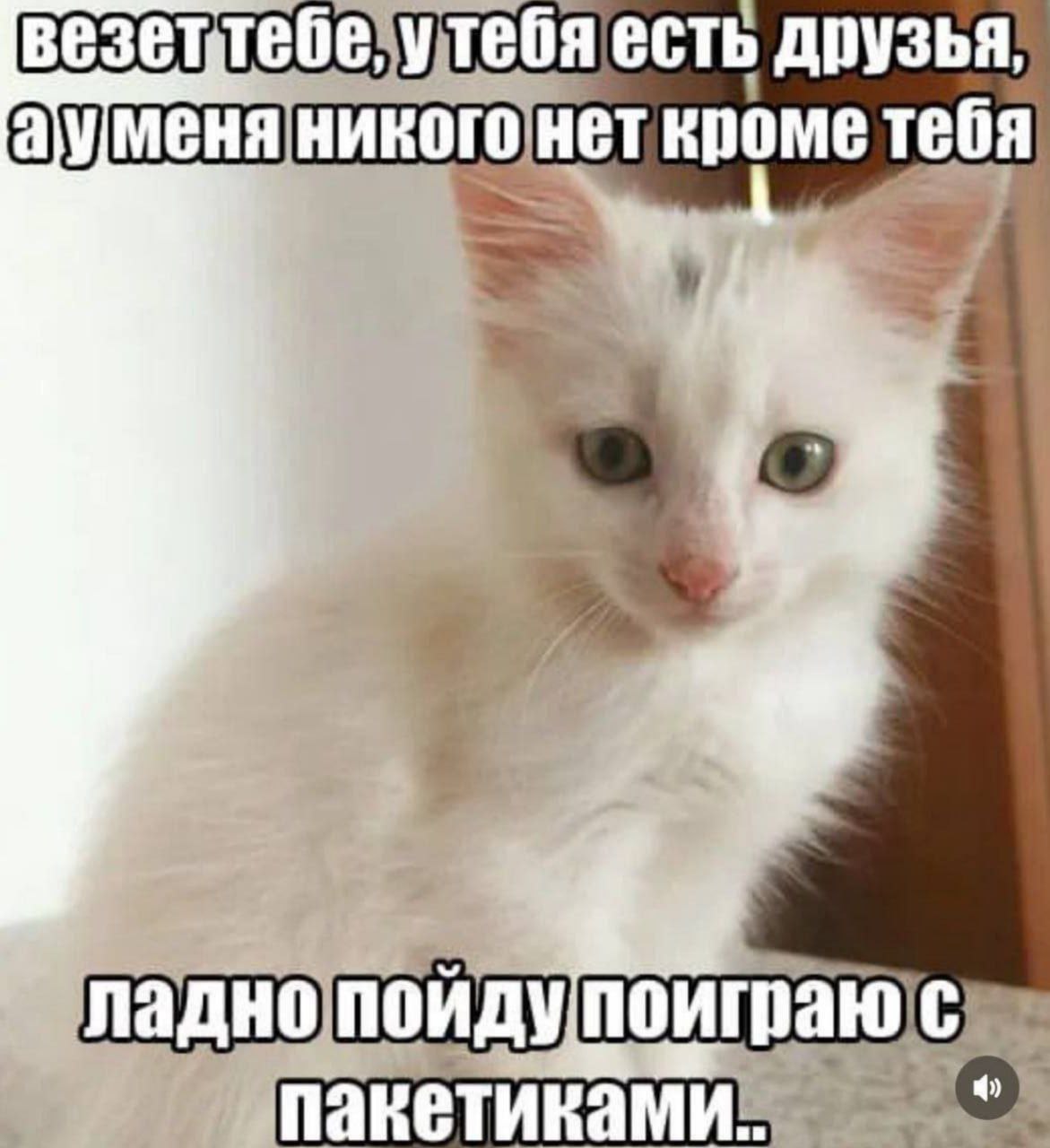 друзья. нет кроме тебя ладнопойдупоиго