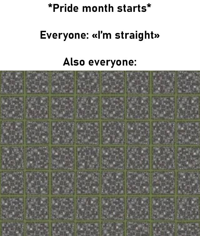 *Pride month Everyone: straight» Also everyone: