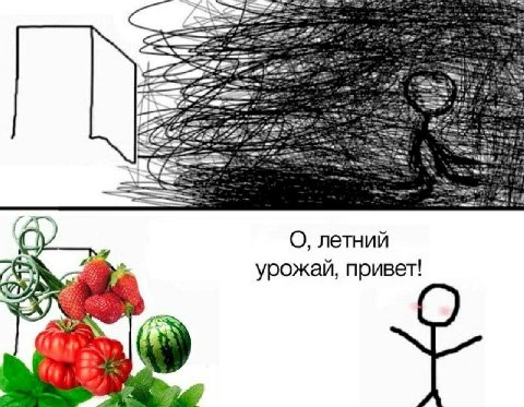 a О, летний As). урожай, привет! fia