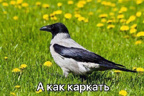 как