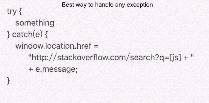 Best way to handle any exception try something catch(e) window.location.href "http://stackoverflow.com/search?q=[js] е.те$$аце;