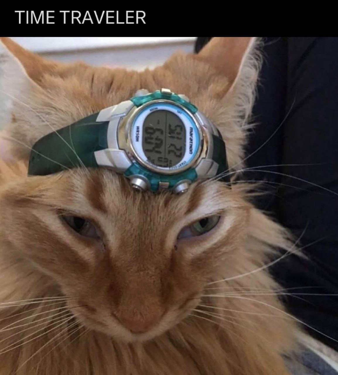 TIME TRAVELER