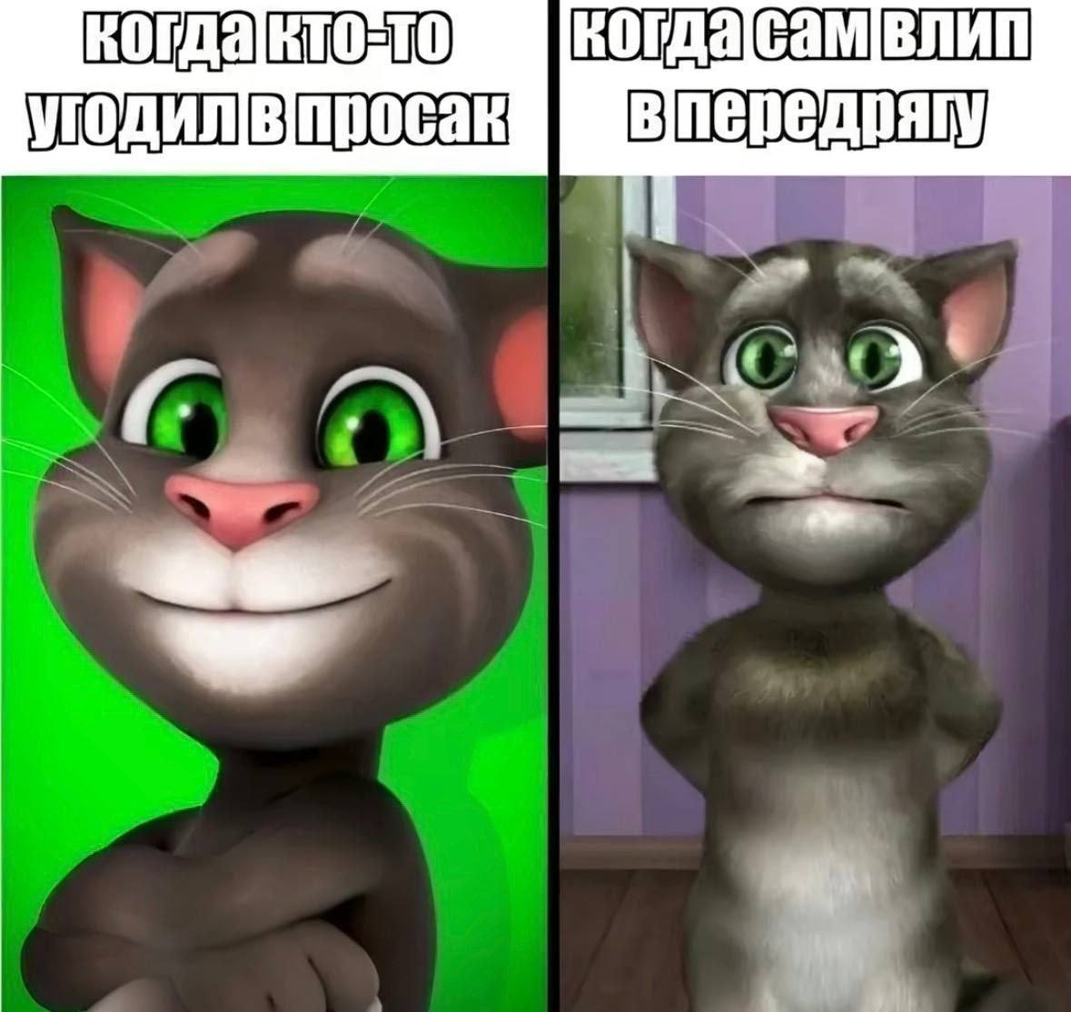 когда|самв лип [3