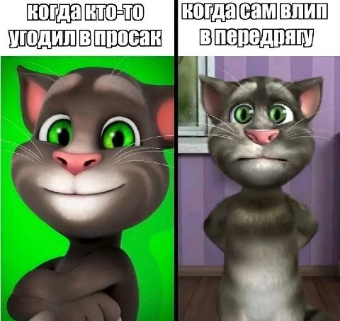 когда|самв лип [3