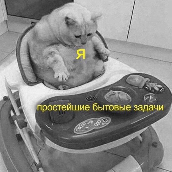 WE простейшие бытовые задачи