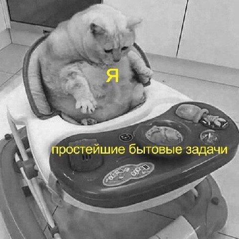 WE простейшие бытовые задачи