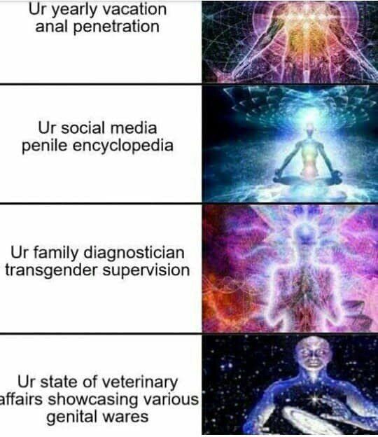 yearly vacation anal penetration social media penile encyclopedia family diagnostician transgender supervision state of veterinary affairs showcasing various] genital wares