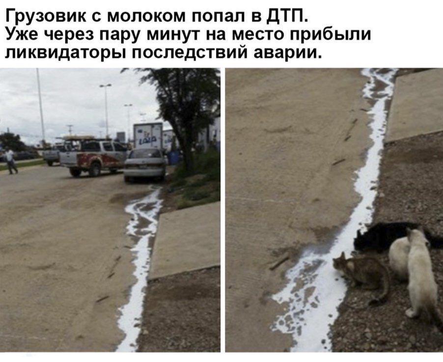 Грузовик с молоком попал в ДТП. Уже через пару минут на место прибыли ликвидаторы последствий аварии.
