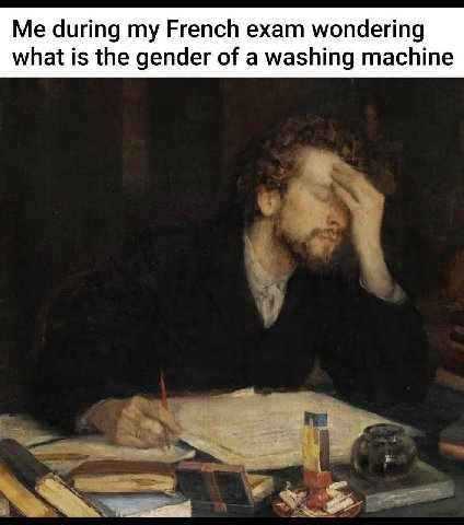 Me during my French exam wondering what is the gender of a washing machine