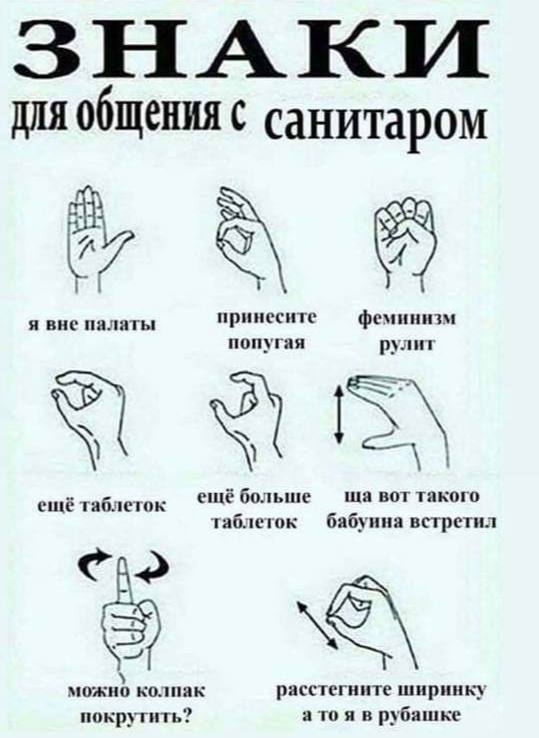 для общения с санитаром 4 я вне палаты принесите феминизм попугая рулит ещё таблеток ещё больше вот такого таблеток бабуина встретил можно колпак расстегните ширинку покрутить? а то я в рубашке