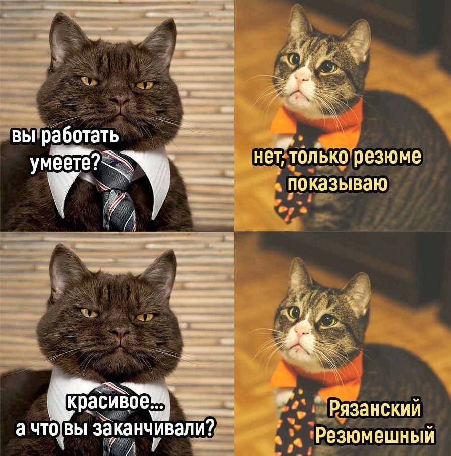 ВЫ работать нет, только резюме показываю Рязанскии а что ВЫ заканчивали? a