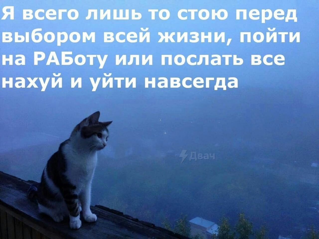 Я всего лишь то стою перед выбором всей жизни, пойти на РАБоту или послать все нахуй и уйти навсегда