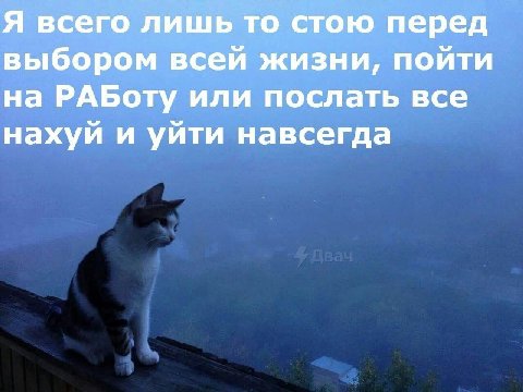 Я всего лишь то стою перед выбором всей жизни, пойти на РАБоту или послать все нахуй и уйти навсегда