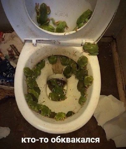 кто-то обквакался