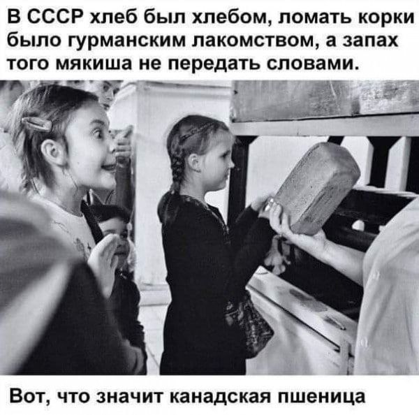 В СССР хлеб был хлебом, ломать корки было гурманским лакомством, а запах того мякиша не передать словами. a A, i Вот, что значит канадская пшеница