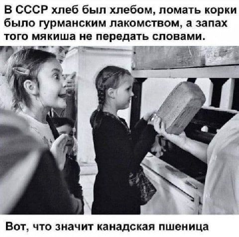 В СССР хлеб был хлебом, ломать корки было гурманским лакомством, а запах того мякиша не передать словами. a A, i Вот, что значит канадская пшеница
