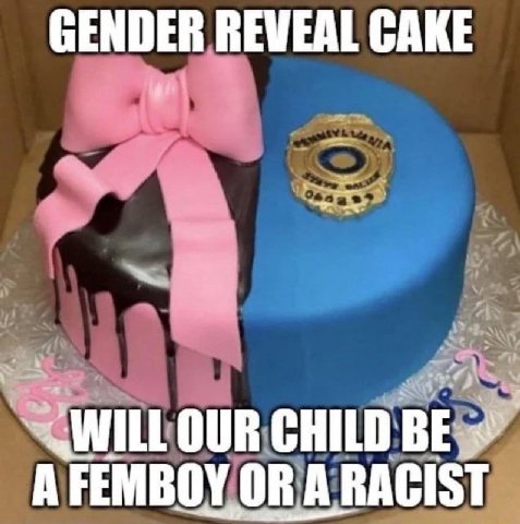 GENDER REWEAL CAKE OUR CHILD BE A FEMBOY OR ARACIST