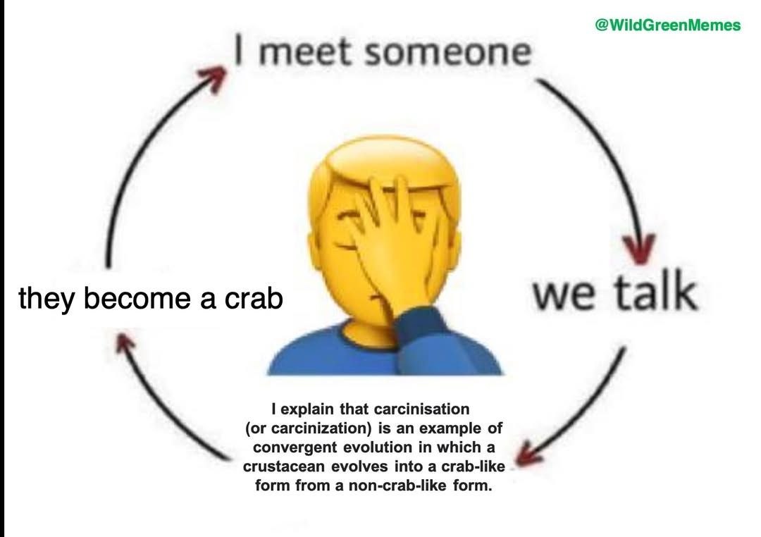 @WildGreenMemes meet someone they become а crab we talk explain that carcinisation (or carcinization) is an example of crustacean evolves into a crab-like convergent evolution in which a form from a n