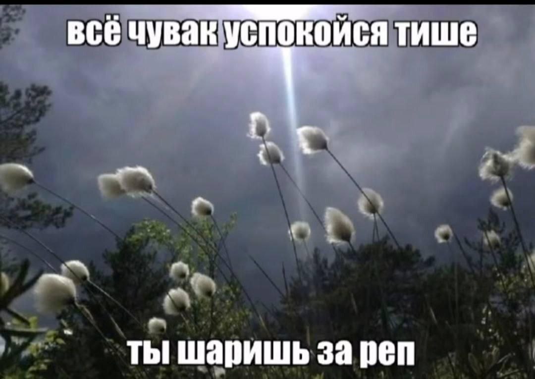 все чувак успокойся тише ты шаришь за реп