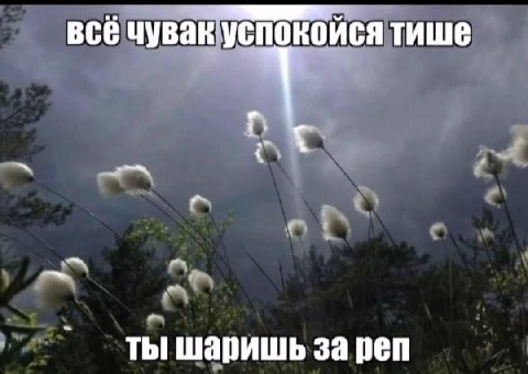 все чувак успокойся тише ты шаришь за реп