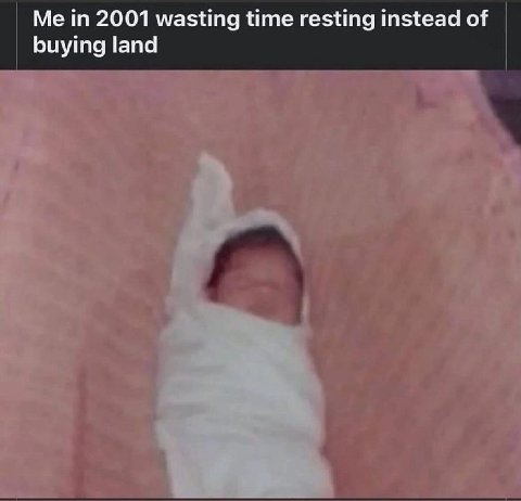 Мет 2001 wasting time resting instead of buying land