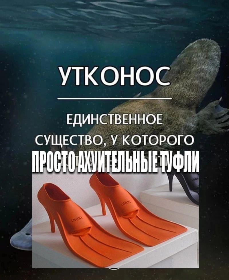 УТКОНОС ЕДИНСТВЕННОЕ СУЩЕСТВО, У КОТОРОГО ТУФЛИ