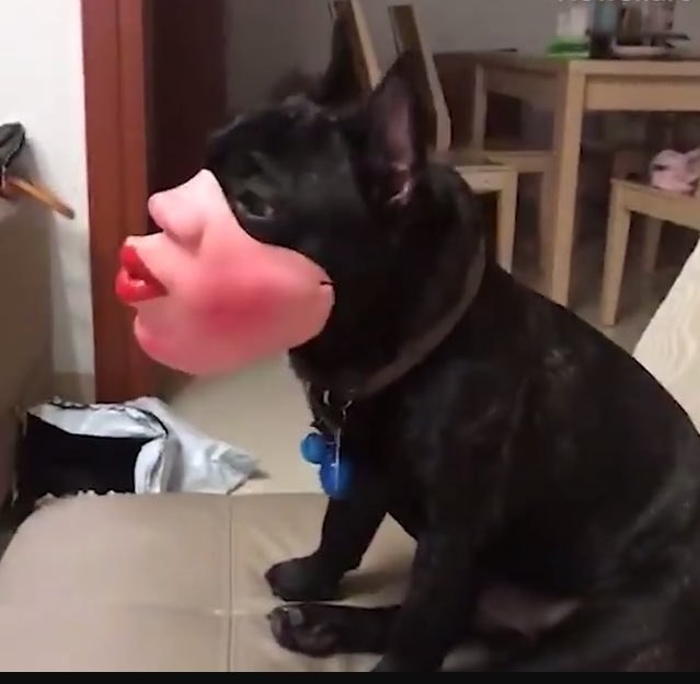 a A