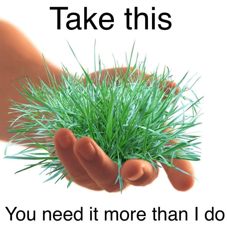 Take this Lave You need it more than